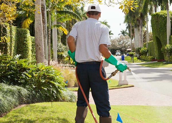 About Delphos KS Pest Control